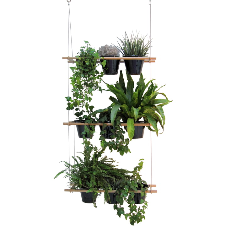 Etcetera Planting System by Edition Compagnie