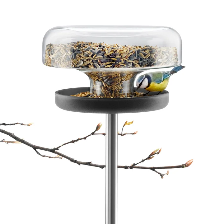 Eva Solo - Bird Table, with bird seed and branch