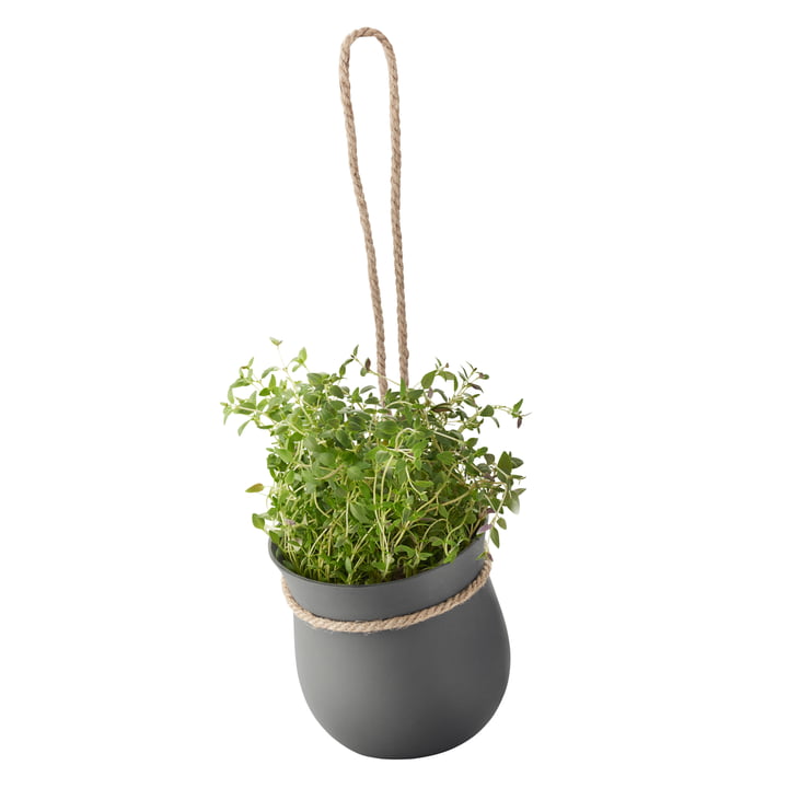 Grow-It Herb pot from Rig-Tig by Stelton in grey
