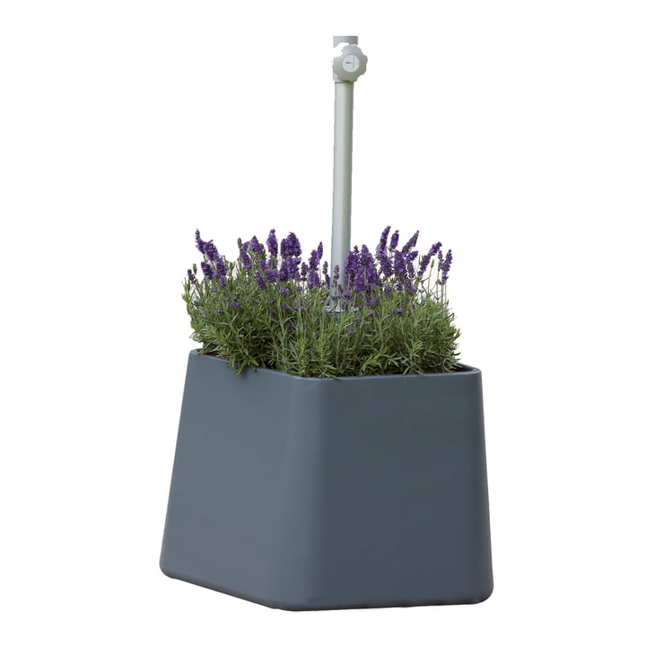Fill Up Umbrella stand from Jan Kurtz in anthracite