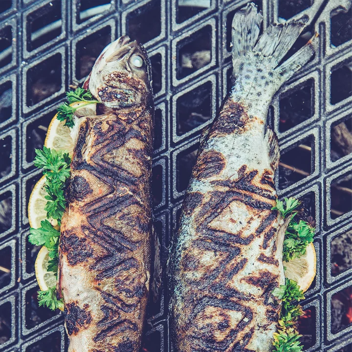 Cast Iron for Fish and Meat