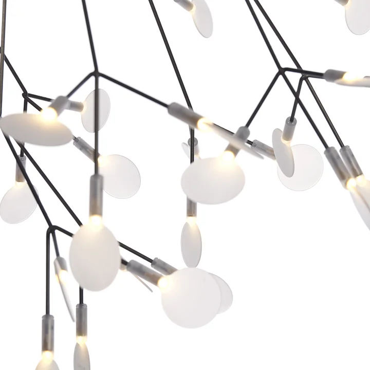 Technical and organic light