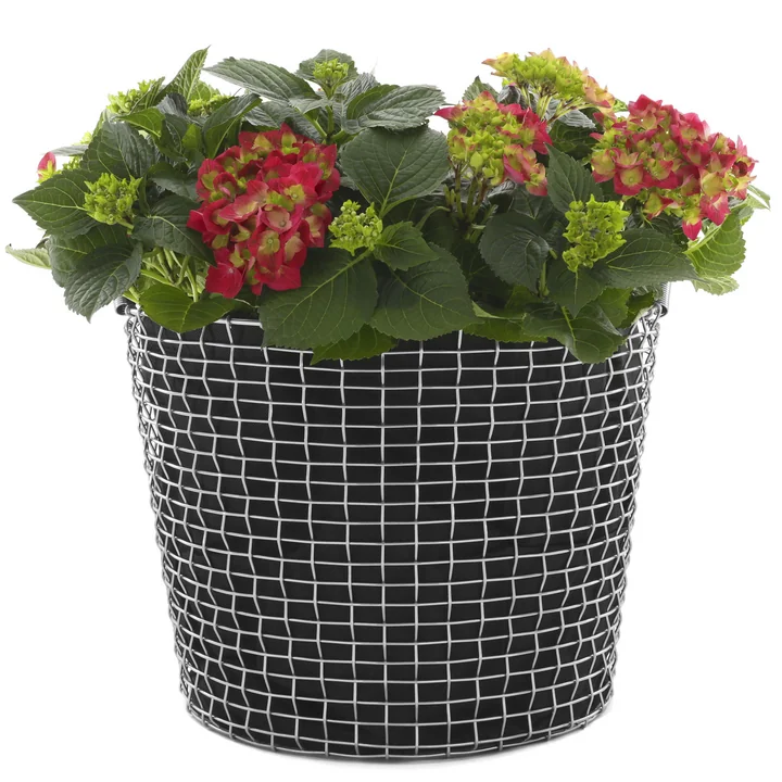 Classic 50 Wire Basket by Korbo with Plant Bag