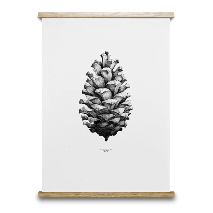 Paper Collective - STIICK Magnetic Frame, oak - nature 1:1 Pine Cone (white)