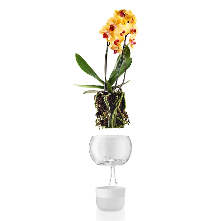 Self-watering Flower Pot for Orchids Ø 15 cm by Eva Solo