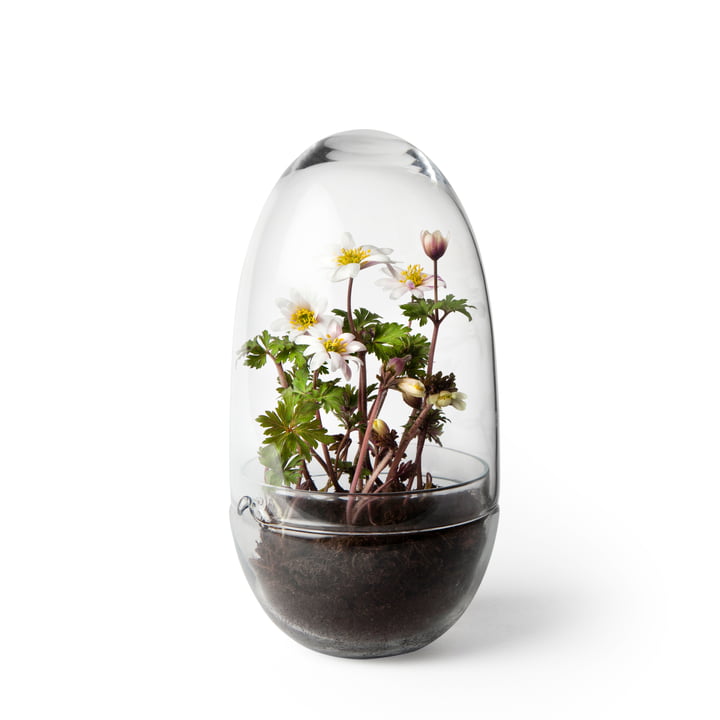 Grow Greenhouse from Design House Stockholm in large