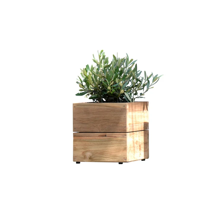 Flowerpot Minigarden in natural teak without frame from Jan Kurtz in Klein