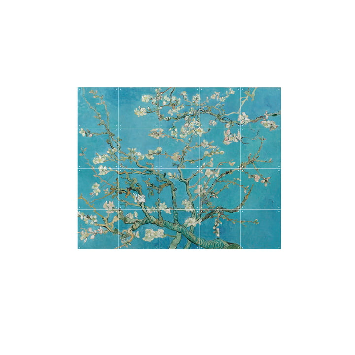 Almond Blossom (Vincent van Gogh) 100 x 80 cm by IXXI