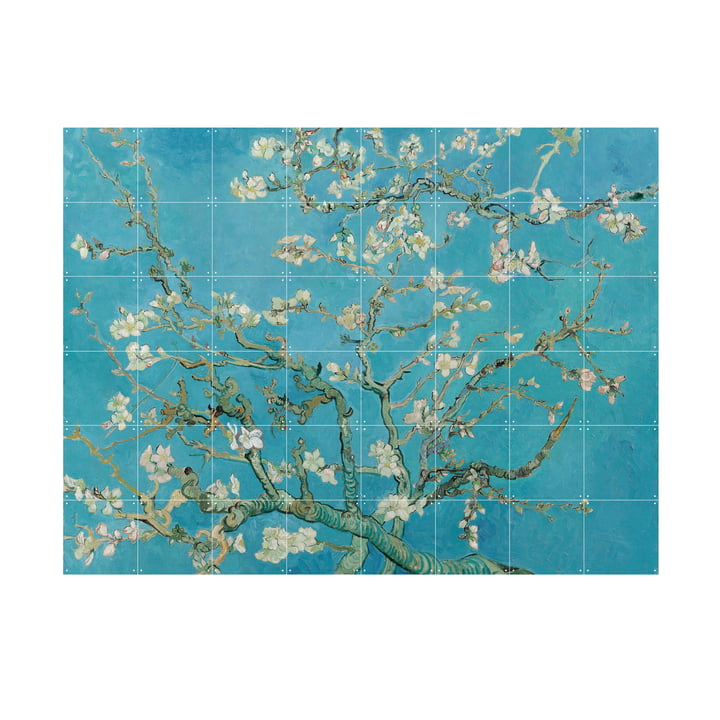 Almond Blossom (Vincent van Gogh) by IXXI in 160 x 120 cm