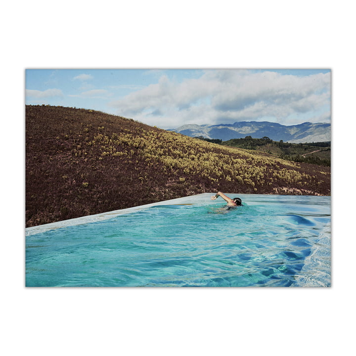Swim Photograph 50 x 70 cm by Paper Collective