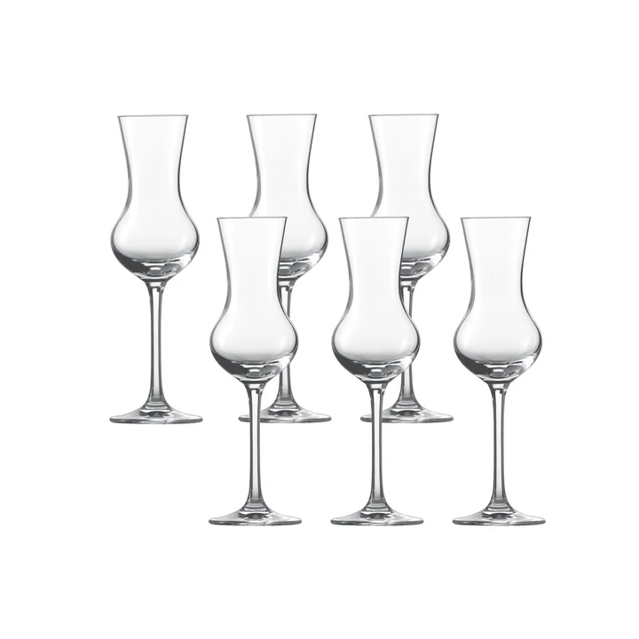 Digestif Grappa Glass (set of 6) from Schott Zwiesel in clear