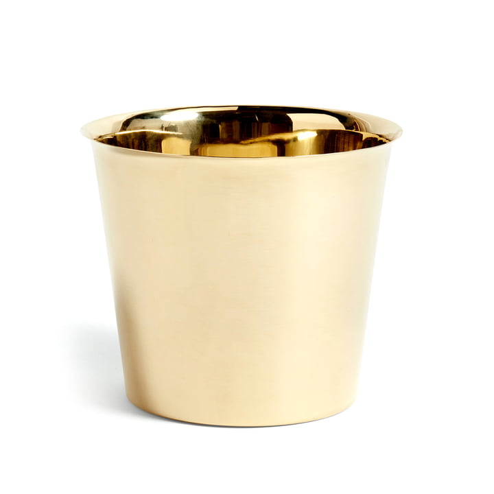 Botanical Family Cachepot XL from Hay in brass