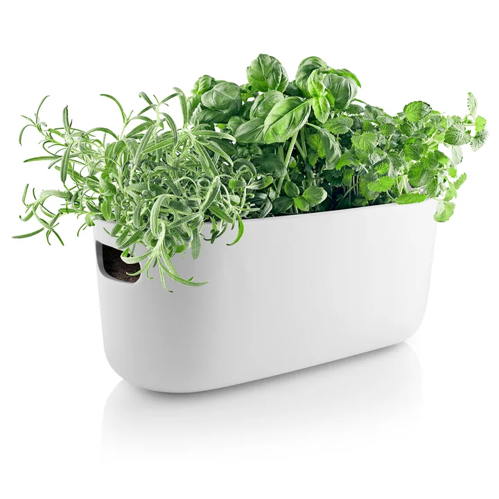 Self-watering herb organizer from Eva Solo in white