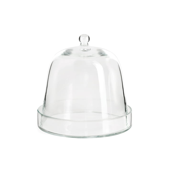 Glass bell with glass saucer of room design