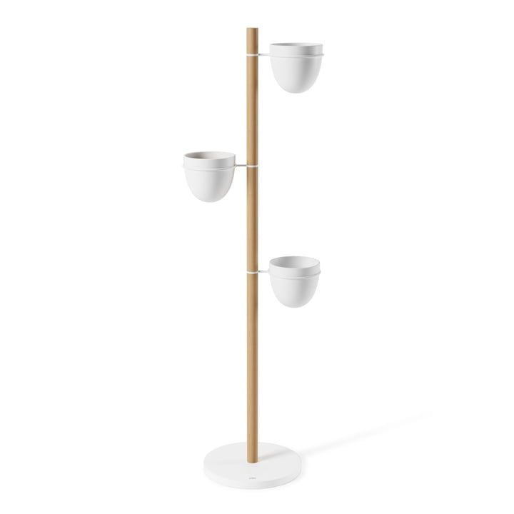 Floristand Plant holder from Umbra in white / natural beech