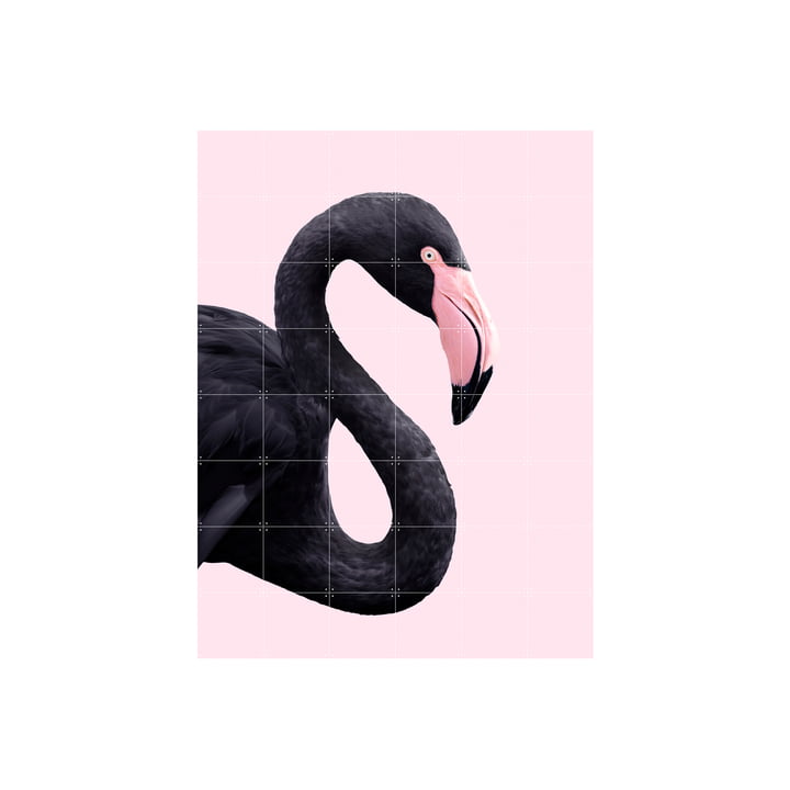 IXXI - Black flamingo poster, 120 x 160 cm