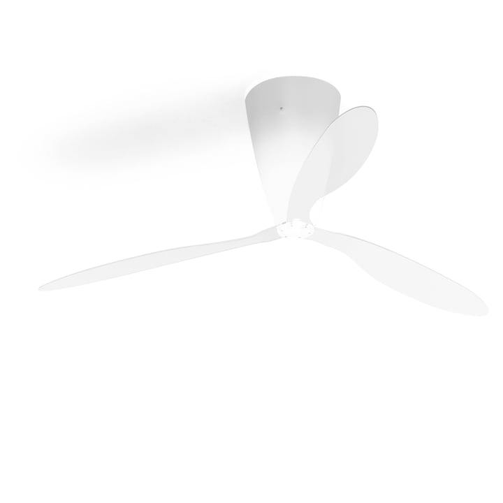 Blow Fan / ceiling light by Luceplan in transparent