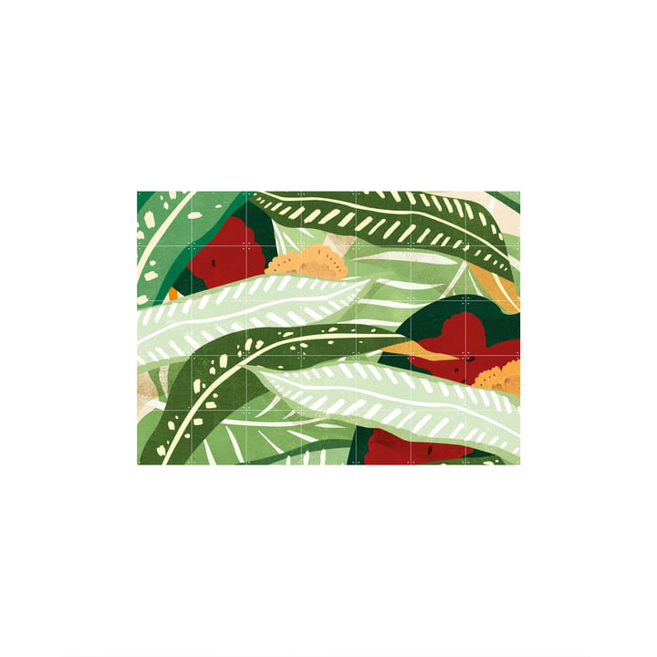 The Jungle Flowers 1 wall picture from IXXI , 140 x 100 cm