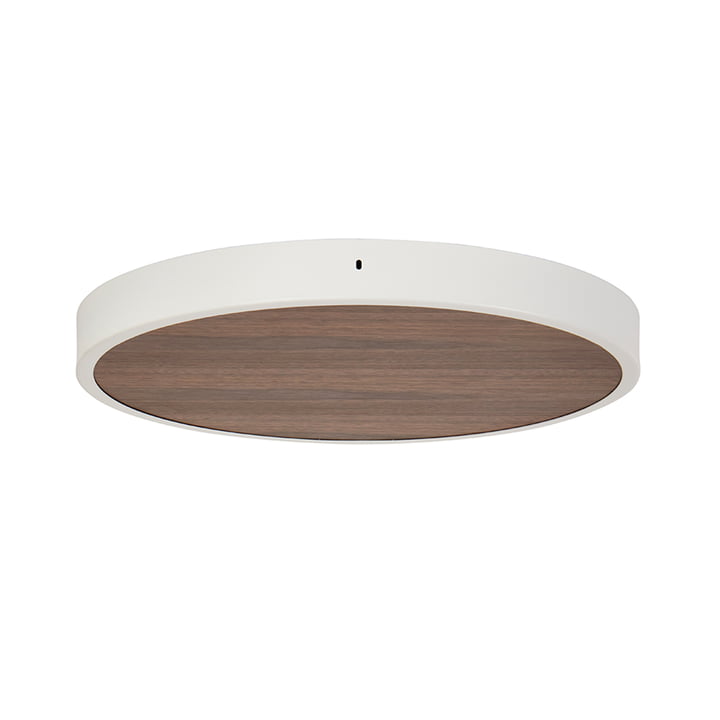 Ceiling tile / canopy large from Tala in walnut / white
