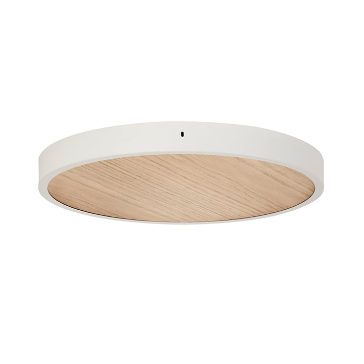 Ceiling tile / canopy large from Tala in oak / white