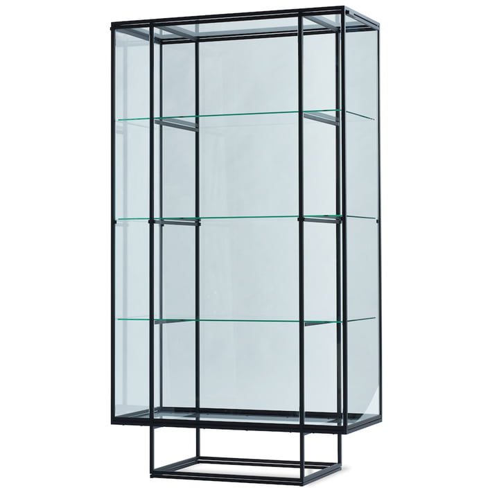 The Tangled display case from Spectrum , clear glass