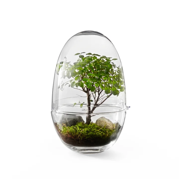 The Grow Greenhouse from Design House Stockholm as a nature nursery