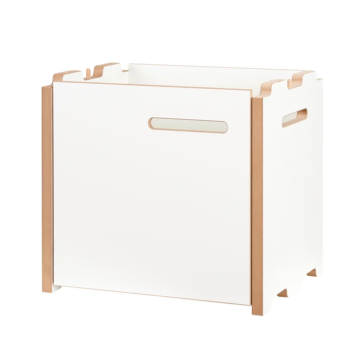 halbstark Shelving system add-on module with door left from Tojo in white.