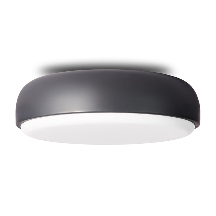 Over Me Wall and ceiling lamp Ø 50 cm from Northern in the colour dark grey