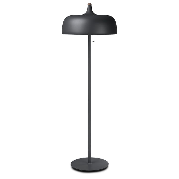 Acorn Floor lamp in the colour grey