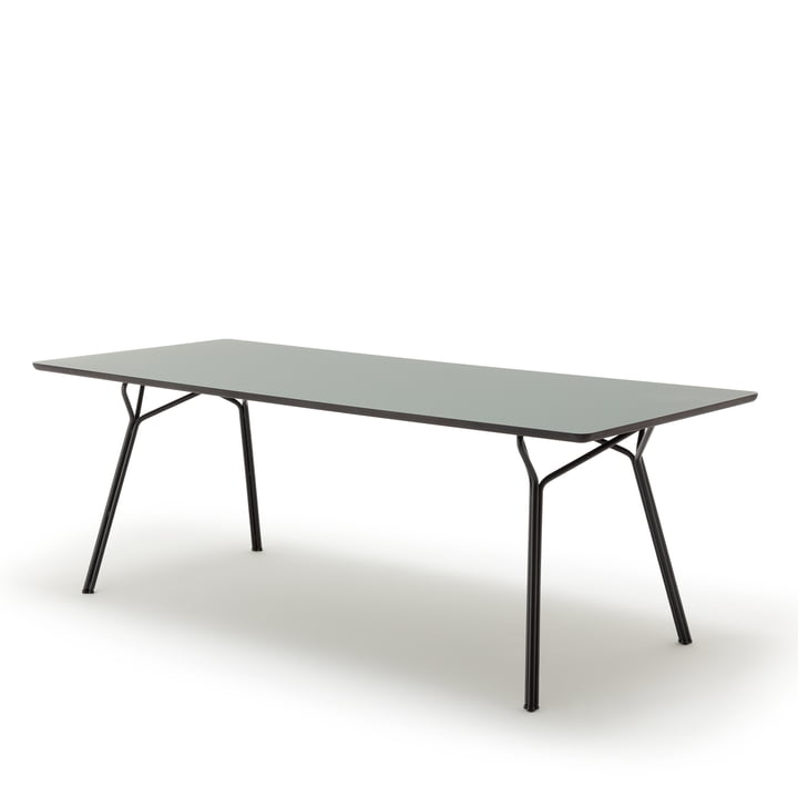 120 -231 Dining table, 200 x 90 cm by freistil in grey olive