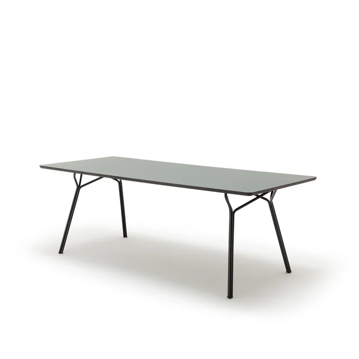 120 -201 Dining table, 160 x 90 cm by freistil in grey olive
