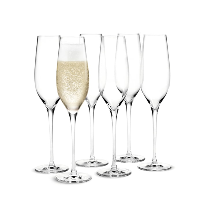 Cabernet Champagne glasses in a set of 6 from Holmegaard