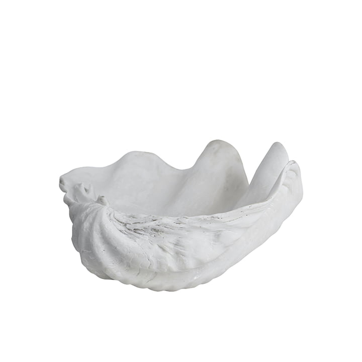 Shell bowl small from Mette Ditmer in white