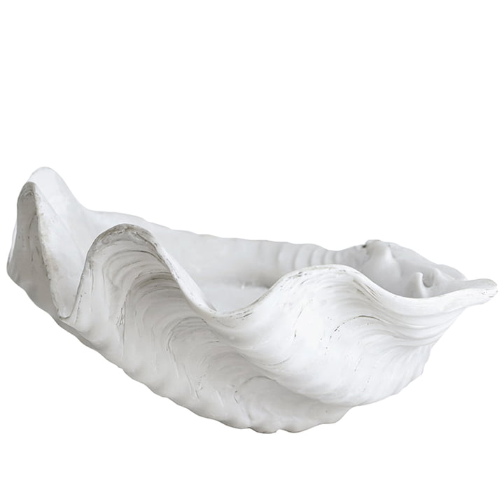 Shell bowl large from Mette Ditmer in white