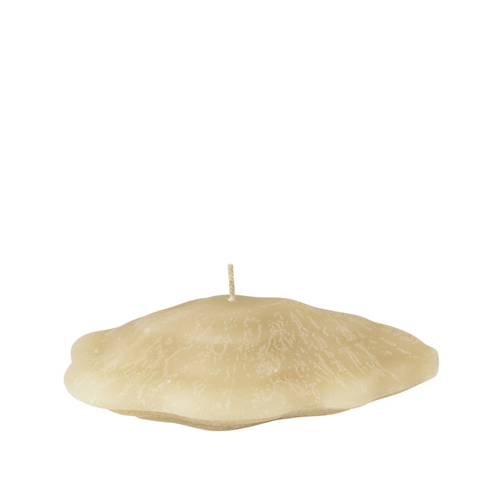 Seashell Candle oyster in color brazilian sand