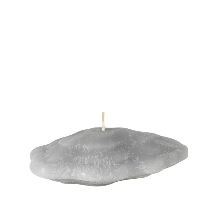 Seashell Candle oyster in color taube grey