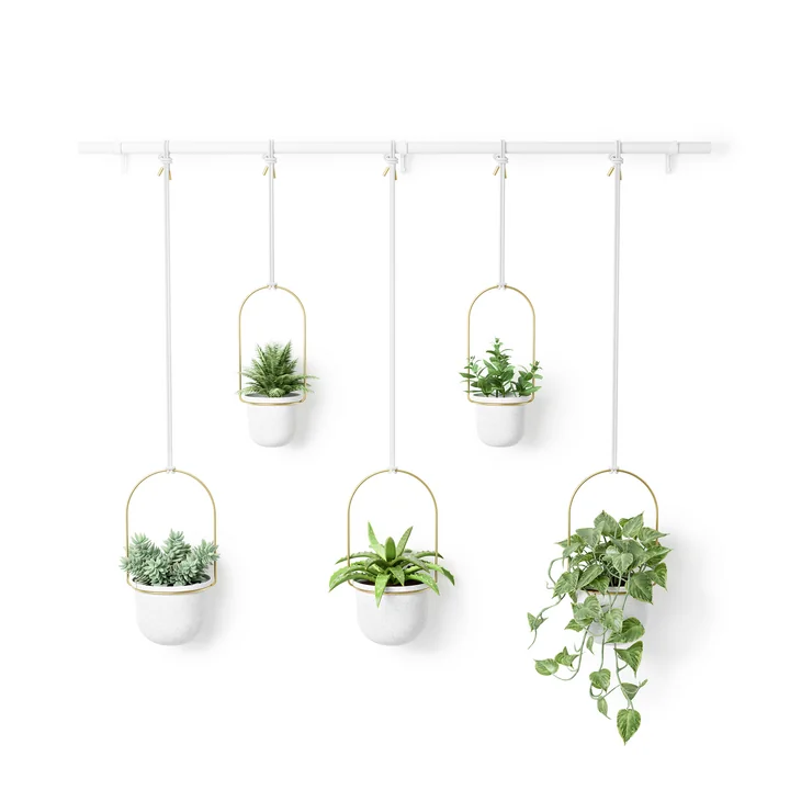 Triflora hanging basket from Umbra