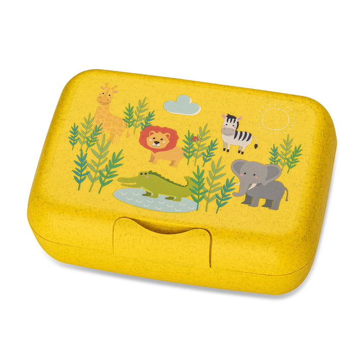 Candy L Kids Lunch Box Africa, organic yellow by Koziol