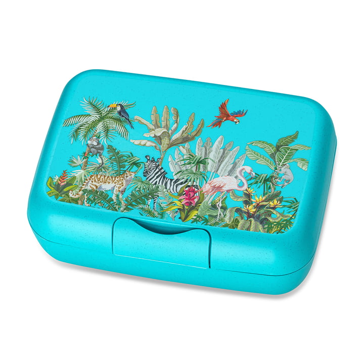 Candy L Kids Lunch Box Jungle, organic turquoise by Koziol