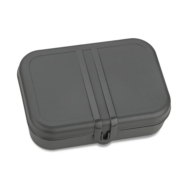 Pascal L Lunchbox with divider, nature ash grey from Koziol