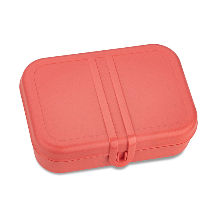 Pascal L Lunchbox with divider, nature coral from Koziol