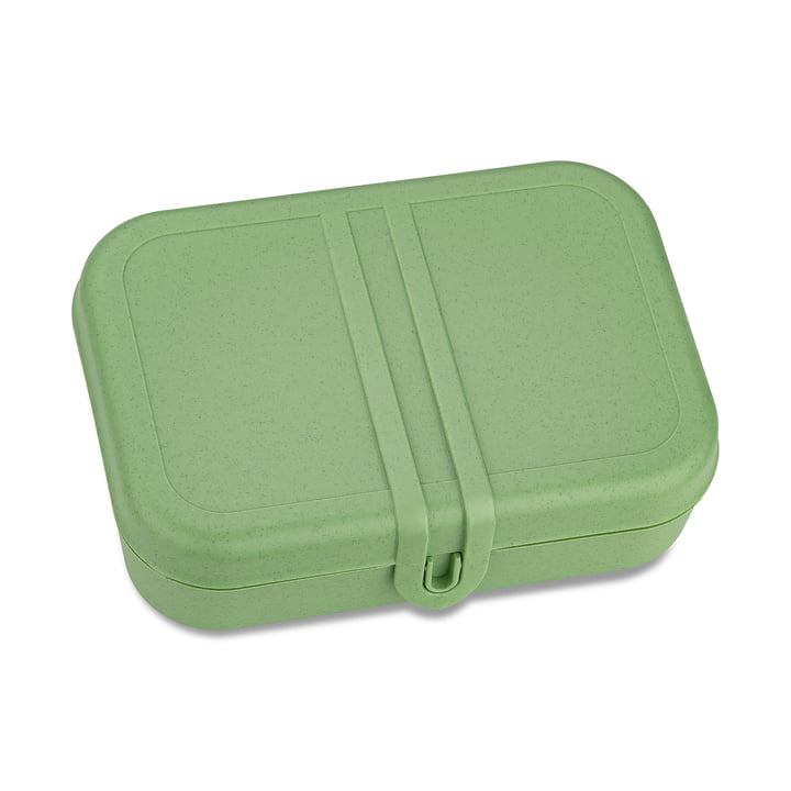 Pascal L Lunchbox with divider, nature leaf green from Koziol
