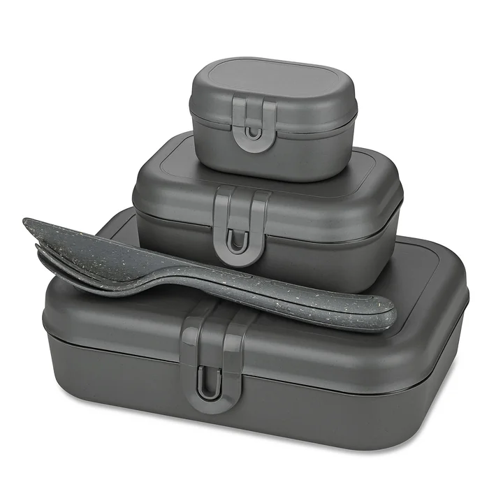 Pascal Ready Lunchbox Set with Klikk Cutlery, nature ash grey by Koziol