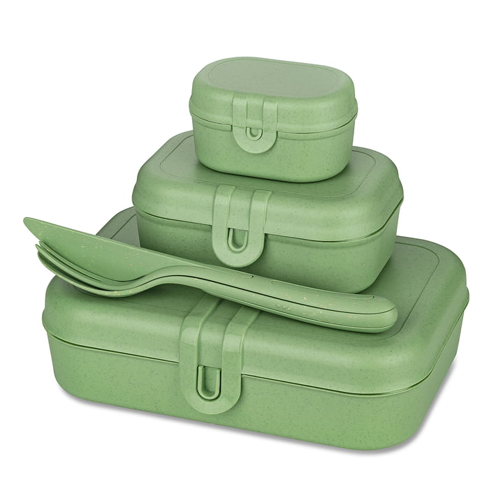 Pascal Ready Lunchbox Set with Klikk Cutlery, nature leaf green by Koziol