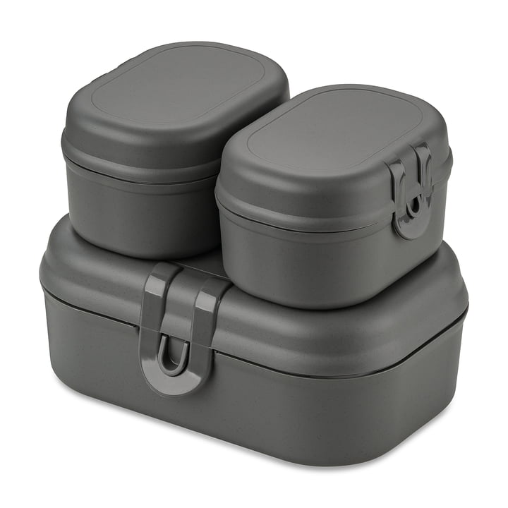 Pascal Ready Mini Lunchbox Set, nature ash grey by Koziol
