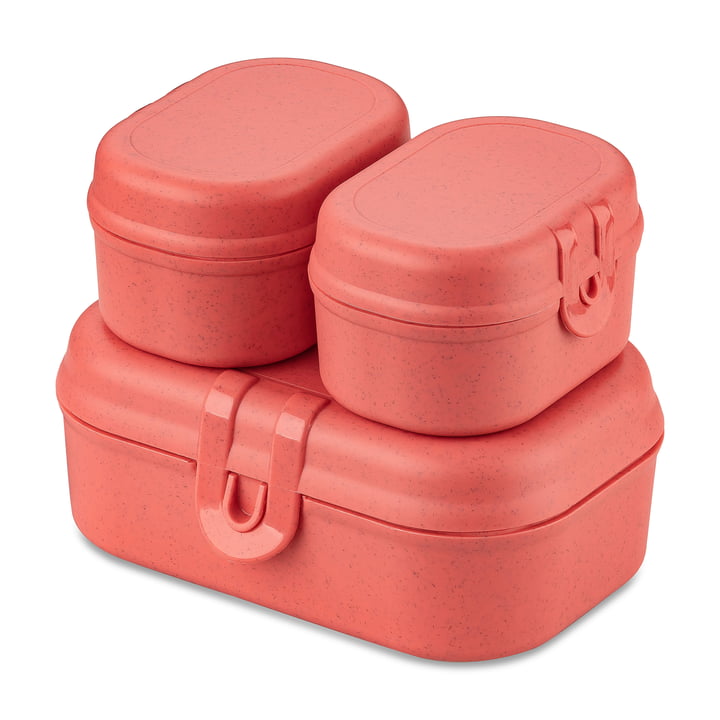 Pascal Ready Mini Lunchbox Set, nature coral by Koziol