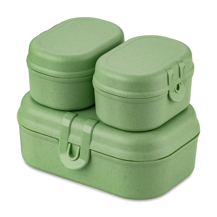 Pascal Ready Mini Lunchbox Set, nature leaf green by Koziol