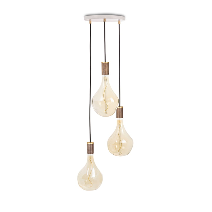 Walnut Triple pendant light set, including 3 x Voronoi II LED bulbs, white / brass from Tala