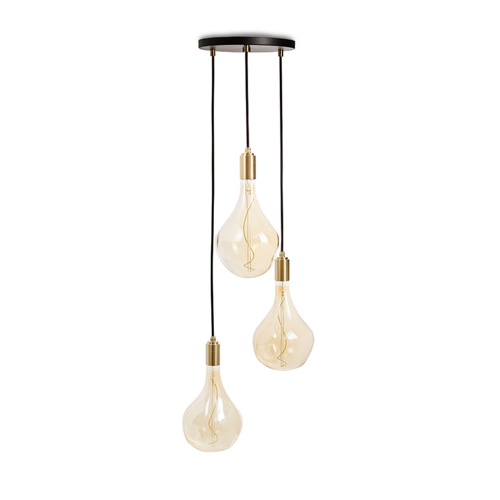 Brass Triple Pendant light set, including 3 x Voronoi II LED bulbs, black / brass by Tala