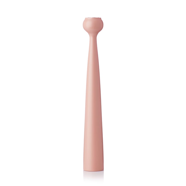 Blossom Candlestick, tulip / warm rose from applicata